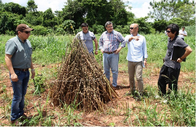 Ya exportaron sésamo por valor de 9.200.000  dólares, unas 6.000 toneladas