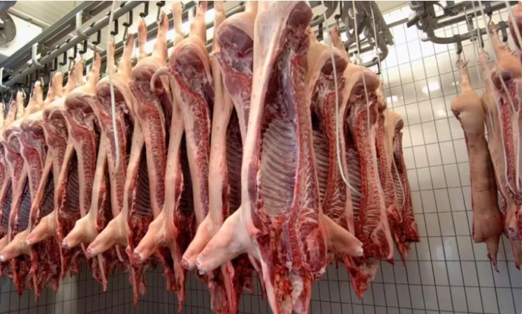 Taiwán se consolida como destino de exportaciones de carne bovina y porcina
    
    <div class=