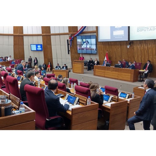 Diputados sancionan proyecto de ley de reforma de la Caja Fiscal con modificaciones 
    
    <div class=