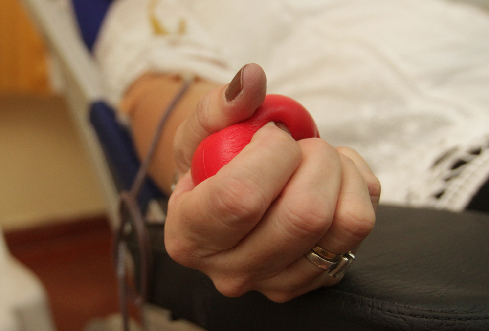 Día Mundial del Donante de Sangre: instan a donar y conectar corazones
    
    <div class=