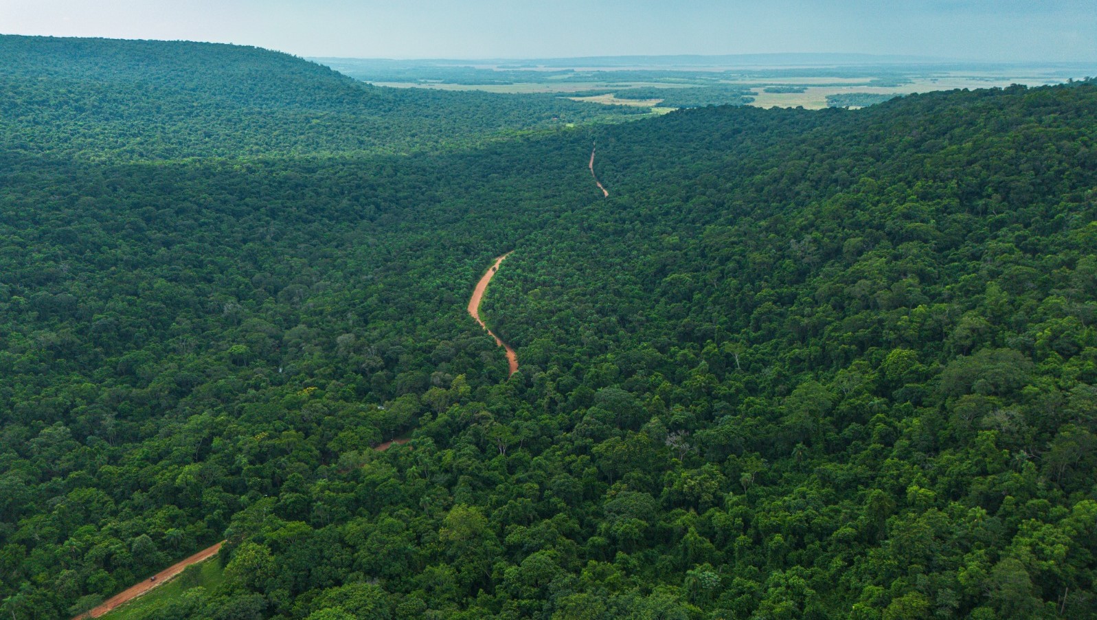 Paraguay conserva el 44,4% de su territorio forestal reporta el INFONA
    
    <div class=