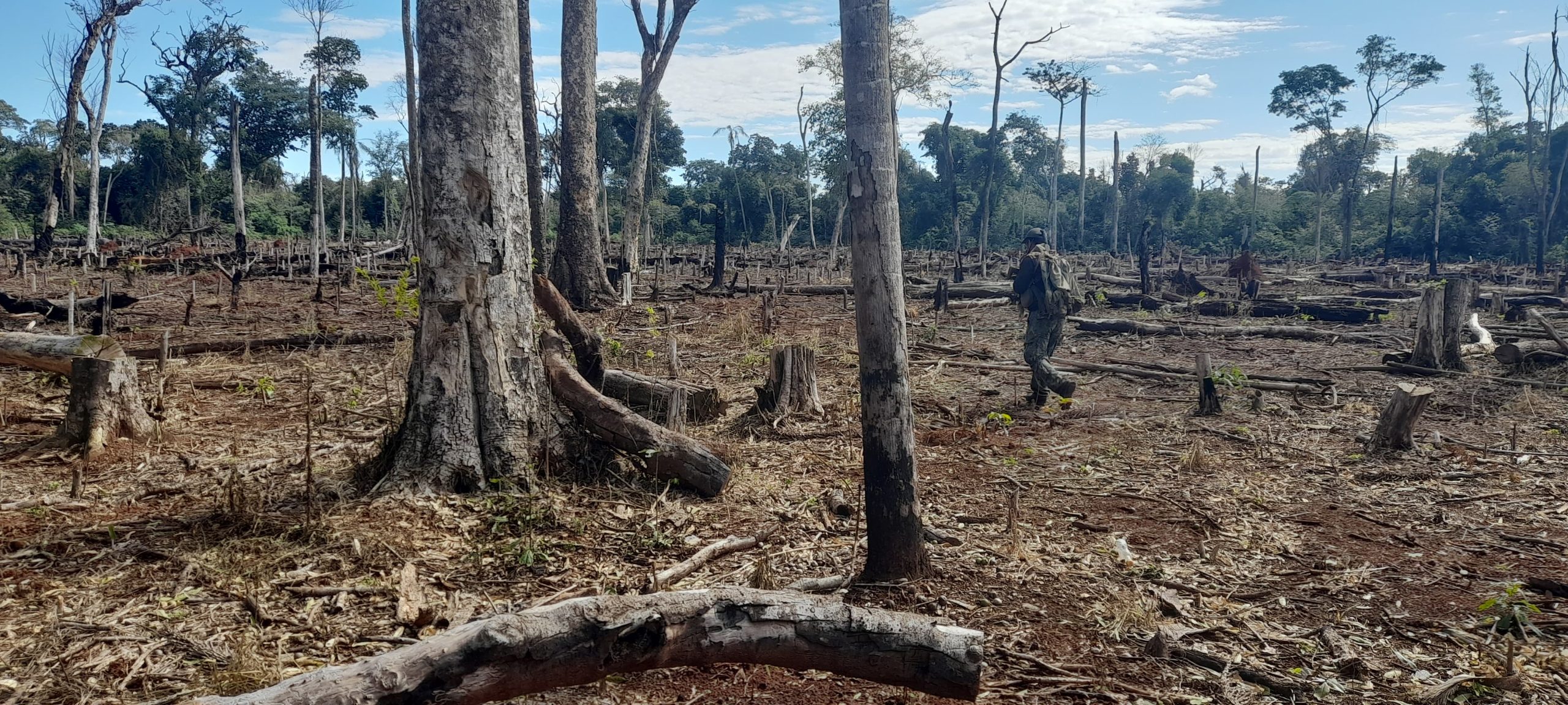 En operativo narcótico frenan deforestación Reserva Mbaracayú
    
    <div class=