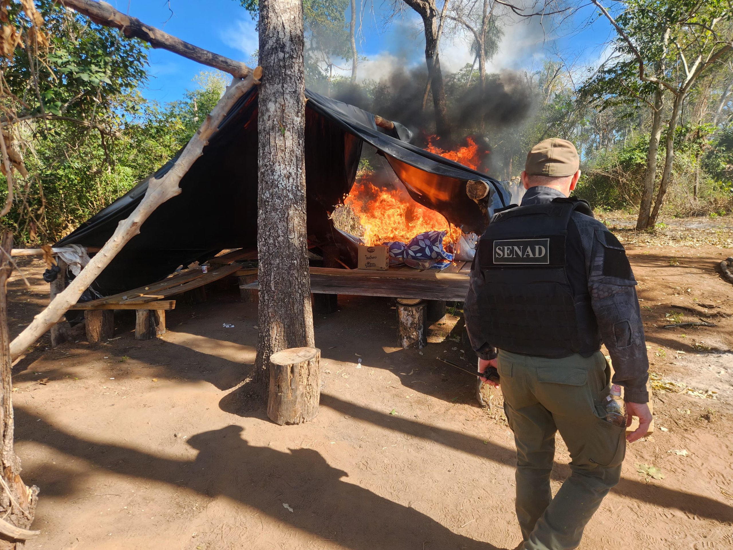 Destruyen campamentos y eliminan cosecha de marihuana Paso Bravo 
    
    <div class=