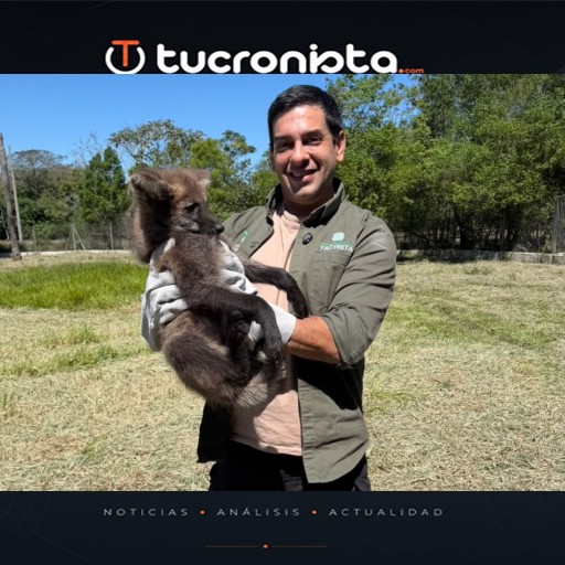 Yacyretá hace historia con la reproducción del aguará guazú en cautiverio